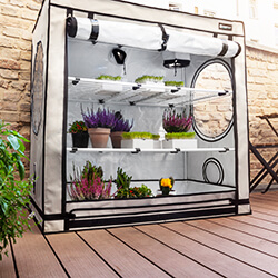 Growboxen