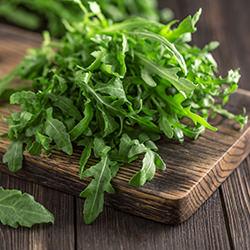 Rucola- / Raukesamen
