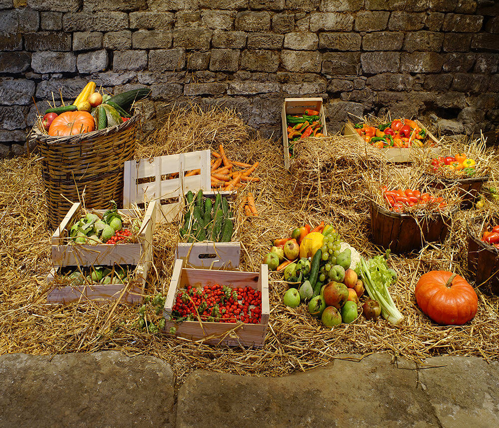 Obst, Gemüse und Kräuter – So lagern Sie die reiche Ernte