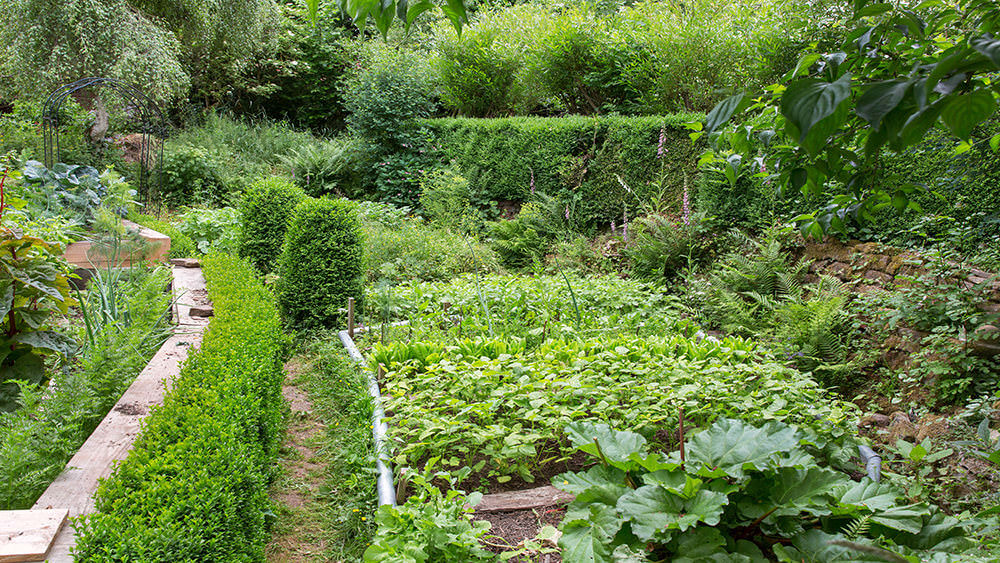 Mischkultur im Garten – auf gute Nachbarschaft