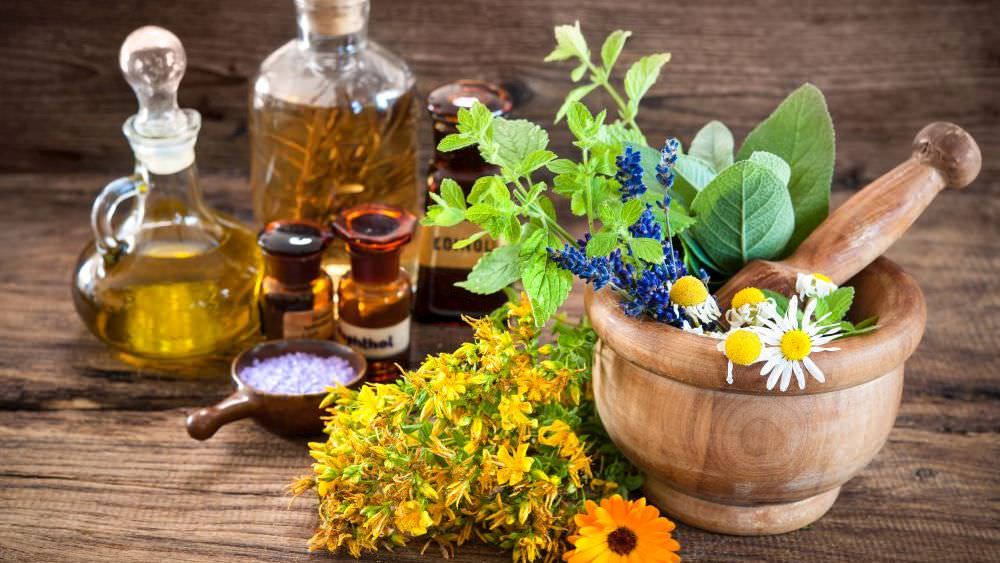 Heilkräuter im eigenen Garten und auf Balkon