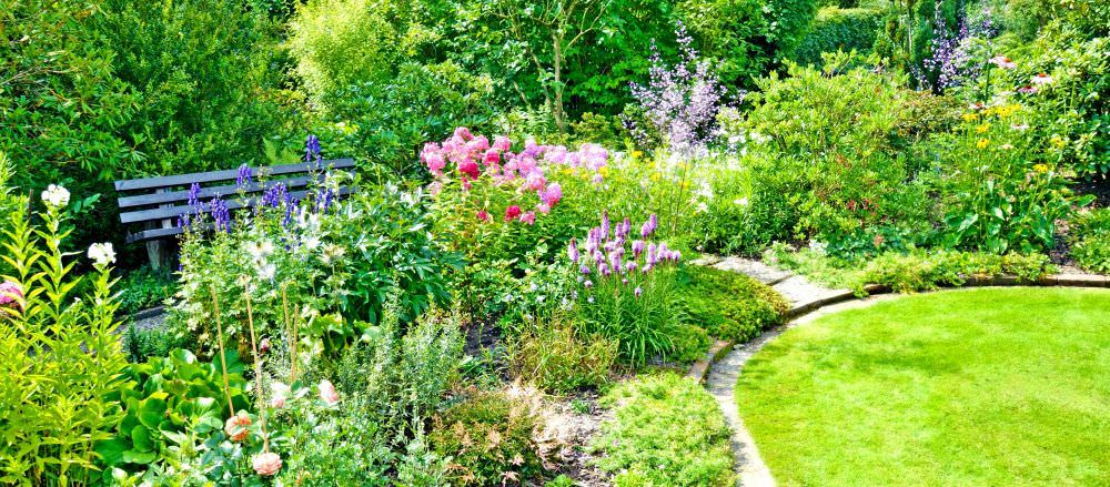 Bunte Blumen im Garten