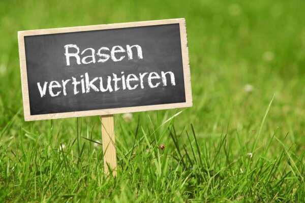 Rasen vertikutieren