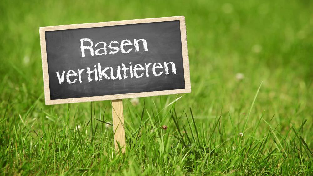 Rasen vertikutieren – so geht es