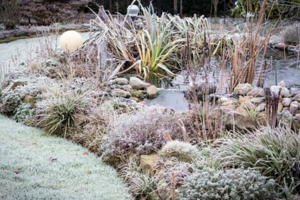 Garten winterfest machen