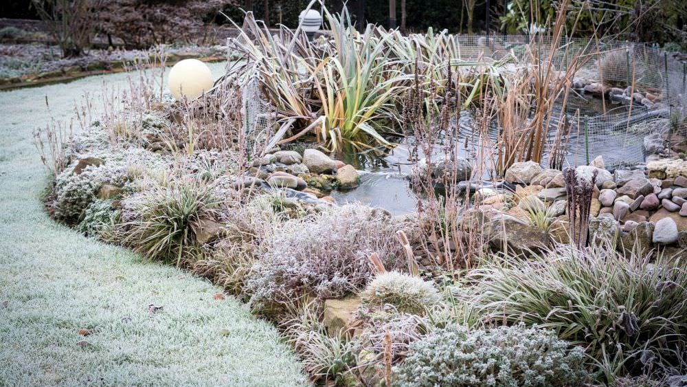 So machen Sie Ihren Garten winterfest