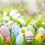 Ostern auf dem Balkon – von Hasen, Eiern und Frühlingsblumen