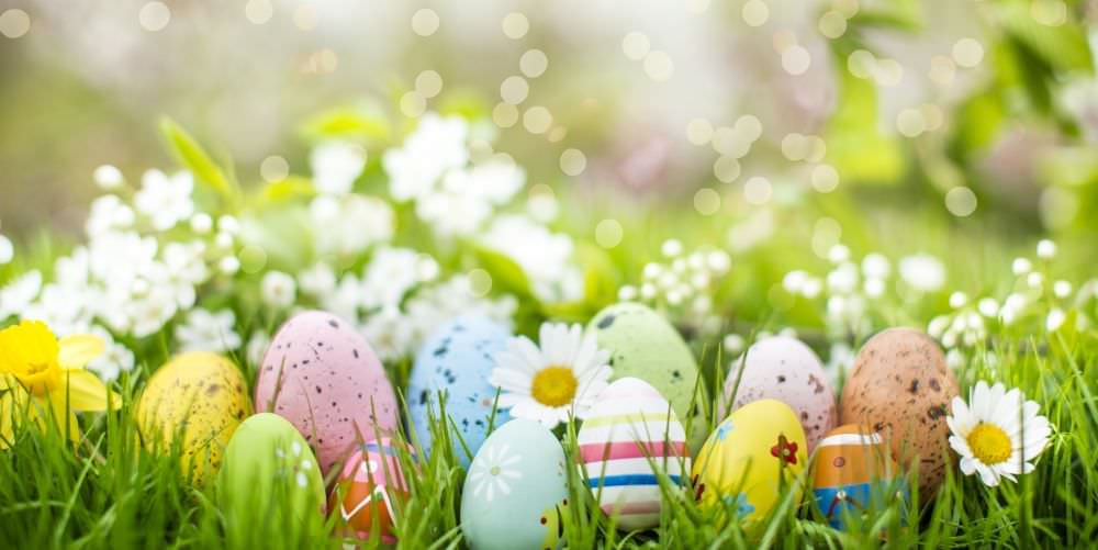 Ostern auf dem Balkon – von Hasen, Eiern und Frühlingsblumen