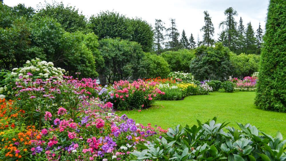 Pflegeleichter Garten