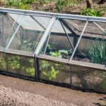 Längere Gartensaison: So bauen Sie selbst ein Frühbeet oder einen Folientunnel