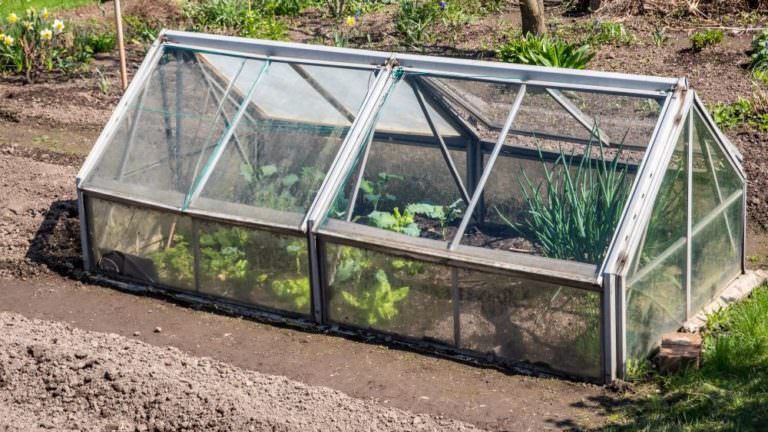 Frühbeet und Folientunnel selbst bauen Samenhaus Gartenblog
