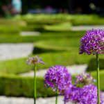 Barock-Garten – die Gartenkunst einer prunkvollen Zeit