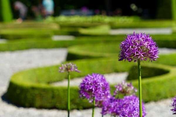 Barock Garten