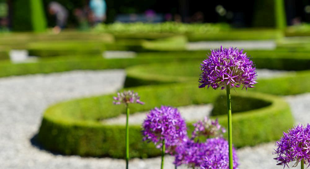 Barock-Garten – die Gartenkunst einer prunkvollen Zeit