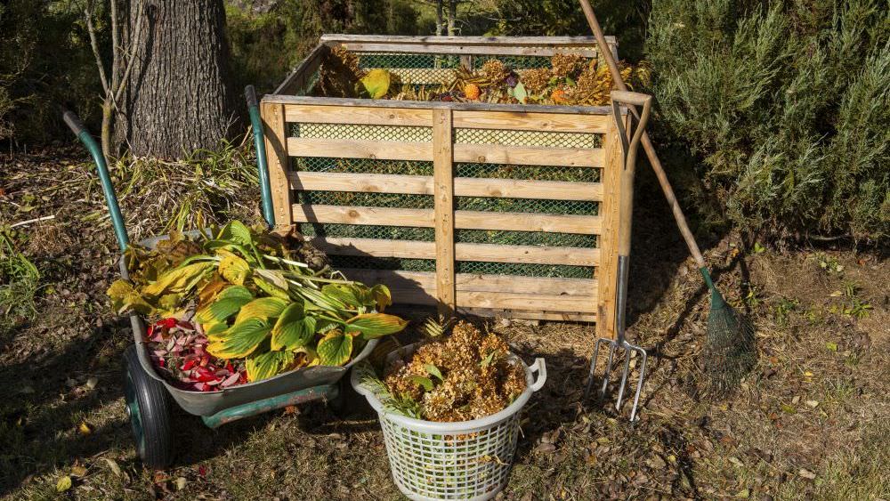 Kompost anlegen – so wird aus Abfall bester Humus