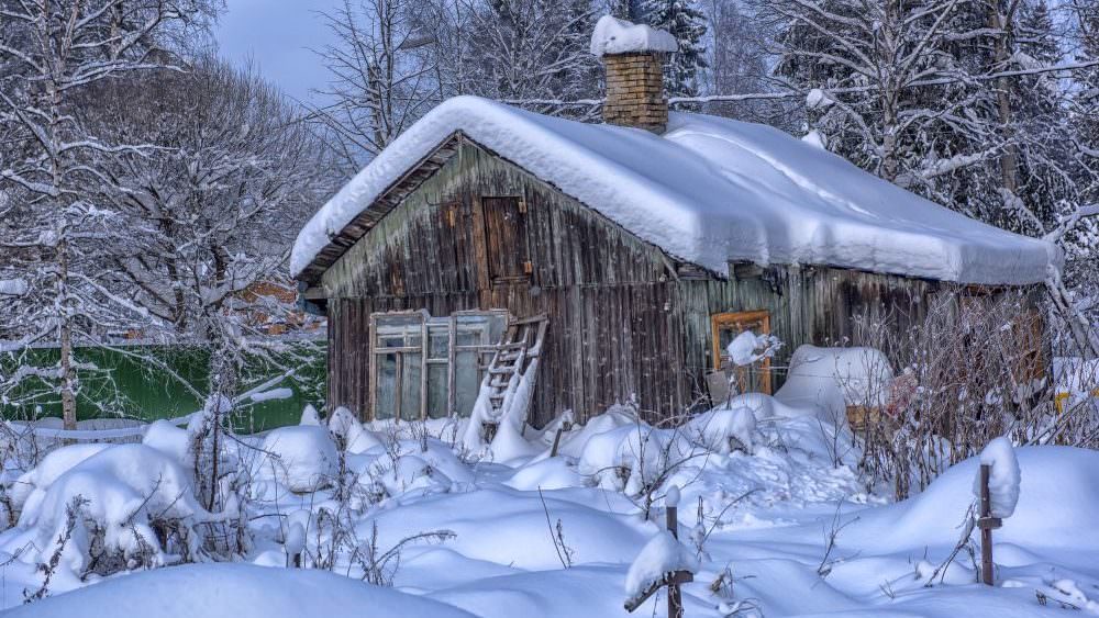 Der Garten im Winter es ist immer Gartenzeit Samenhaus Gartenblog