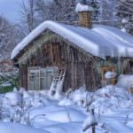 Der Garten im Winter – es ist immer Gartenzeit