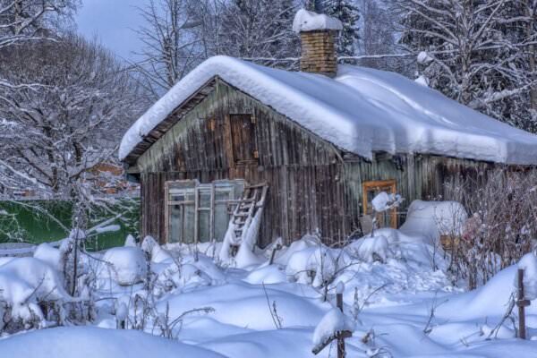 Garten im Winter