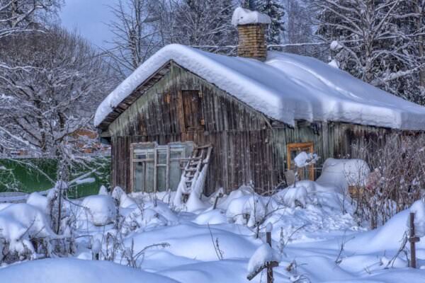 Garten im Winter