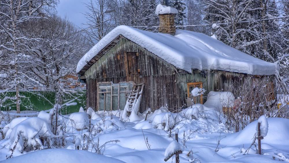 Garten im Winter