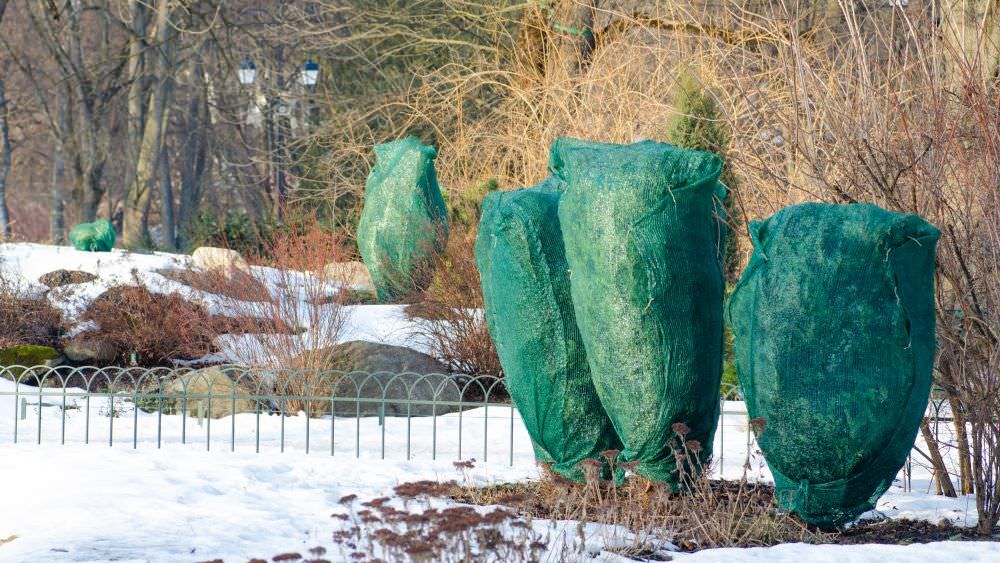 Gartenarbeiten in der kalten Jahreszeit