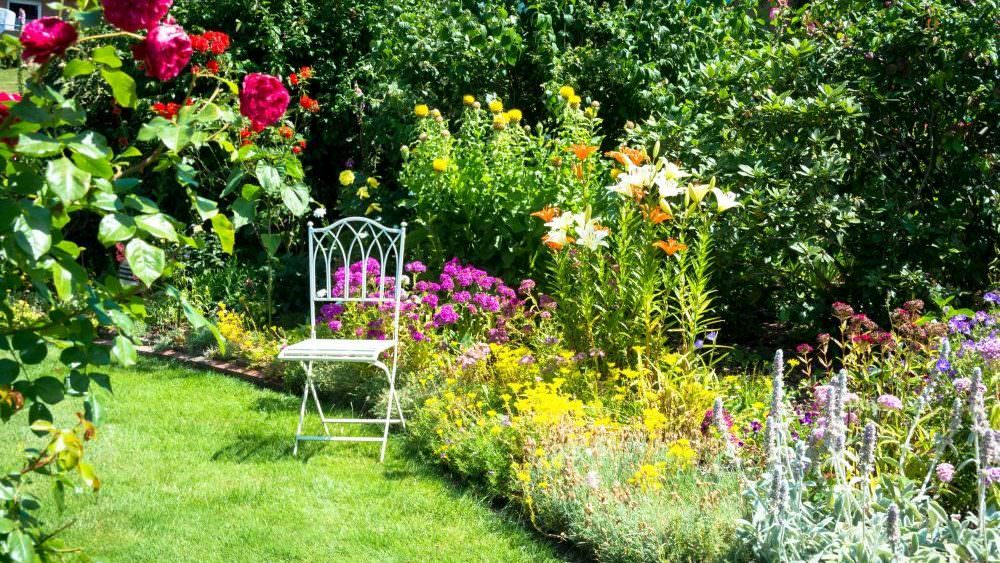 Landhausgarten der Garten für Romantiker Samenhaus Gartenblog