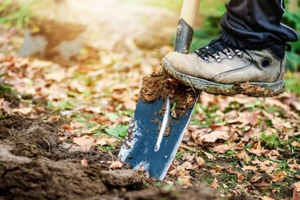 Gartenarbeit im Frühling