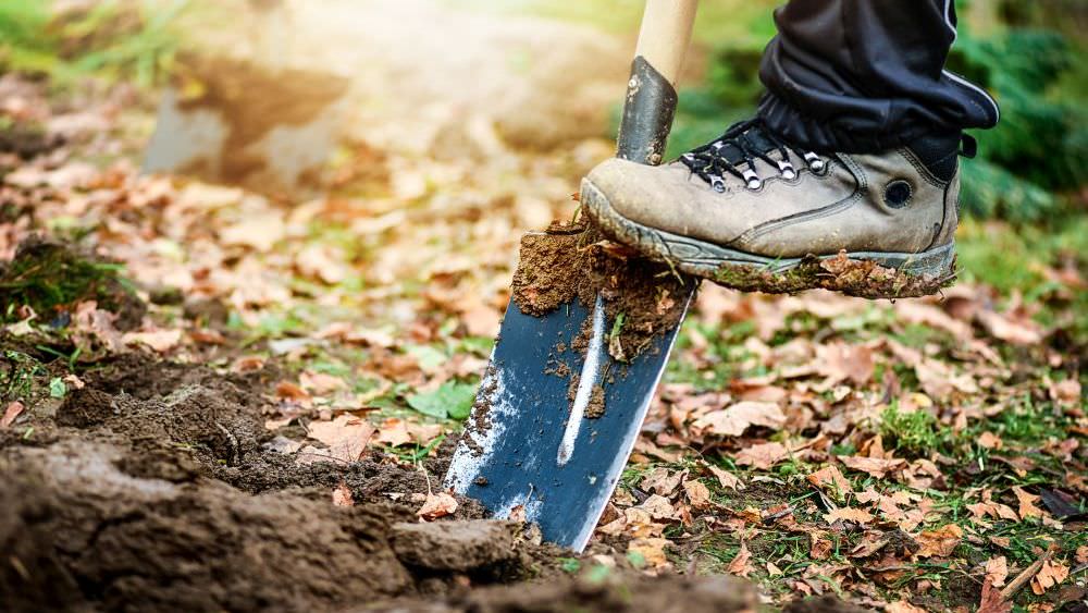 Gartenarbeit im Frühling