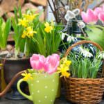 Frühlingserwachen auf Balkon und Terrasse