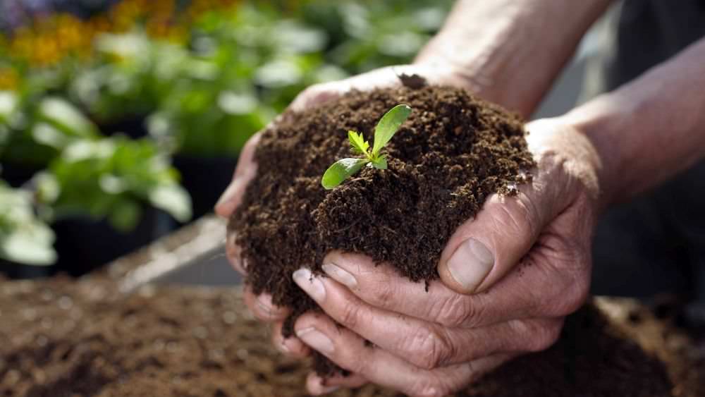 Erde für Balkonpflanzen selbst herstellen