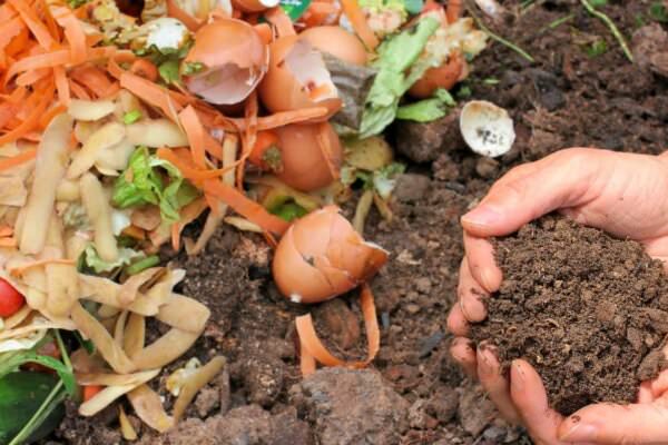 Flächenkompost im Garten