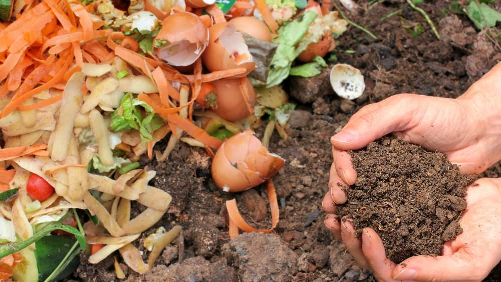 Flächenkompost im Garten