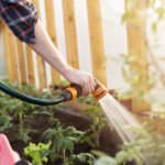 Tomatenhaus selber bauen – Schritt für Schritt zu mehr Schutz