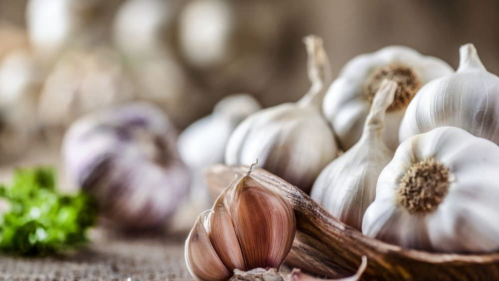 Knoblauch anbauen: So klappt’s mit großen Knollen