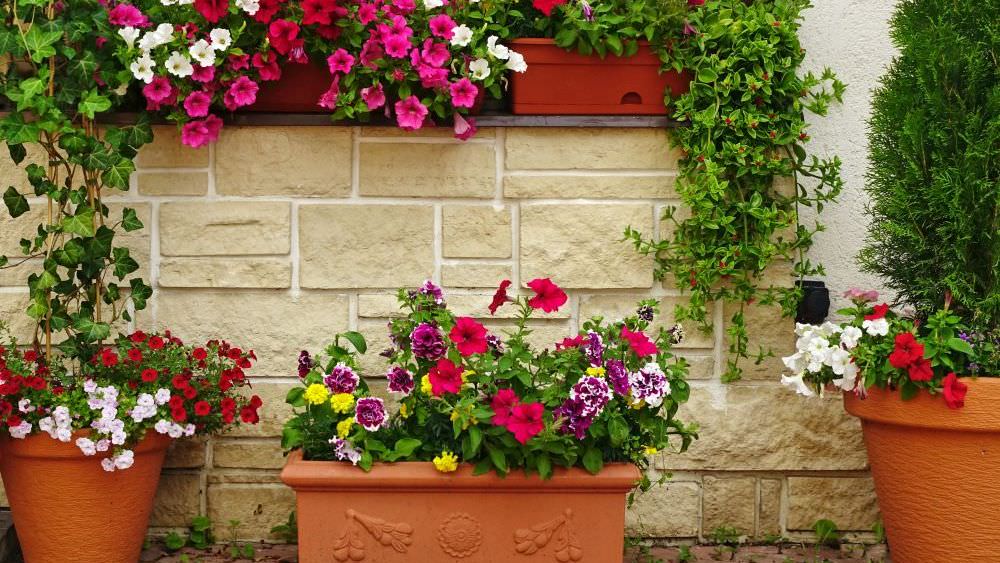 Blumenkästen auf dem Balkon – darauf sollten Sie achten