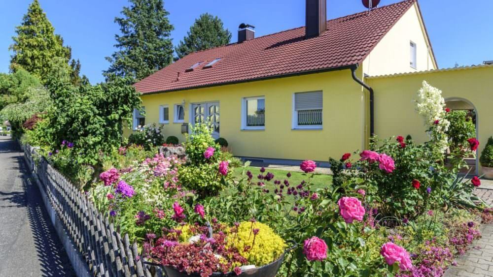 Pflegeleichter grüner statt Kies oder Beton Samenhaus