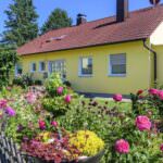 Pflegeleichter grüner Vorgarten statt Kies oder Beton