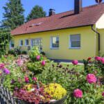 Pflegeleichter grüner Vorgarten statt Kies oder Beton