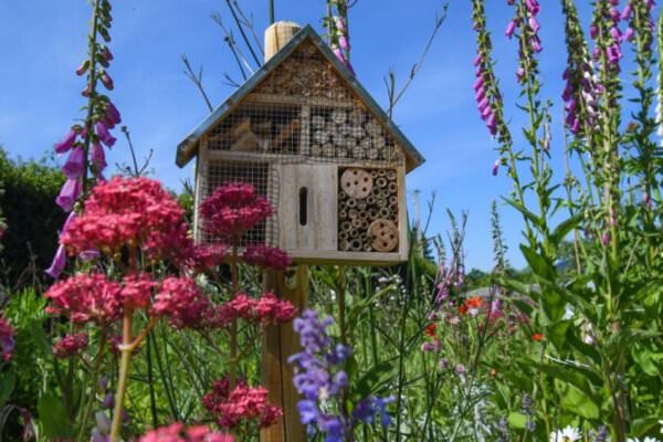 Insekten im Garten