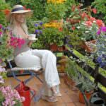 Sommerbepflanzung – Blütenmeer auf Balkon und Terrasse