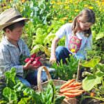 Gartenarbeit mit Kindern: Interesse wecken und Kreativität fördern