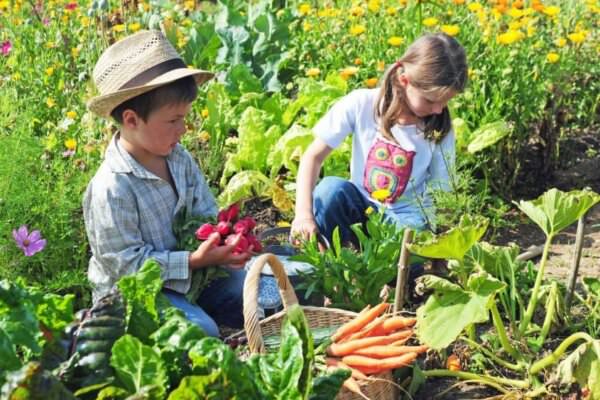 Kinder im Garten