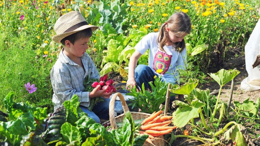 Kinder im Garten