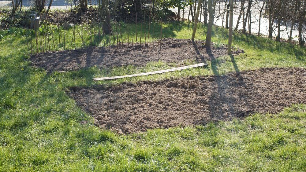 Tiefkulturbeet: Platz und Wasser sparen mit dem Gemüsebeet