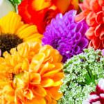Die Bedeutung der Blumenfarben