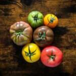 Tomaten in allen Farben