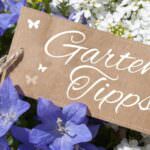 Gartentipps von früher: Preiswert und wirksam