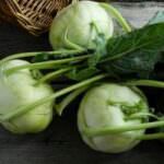 Kohlrabi Ernte