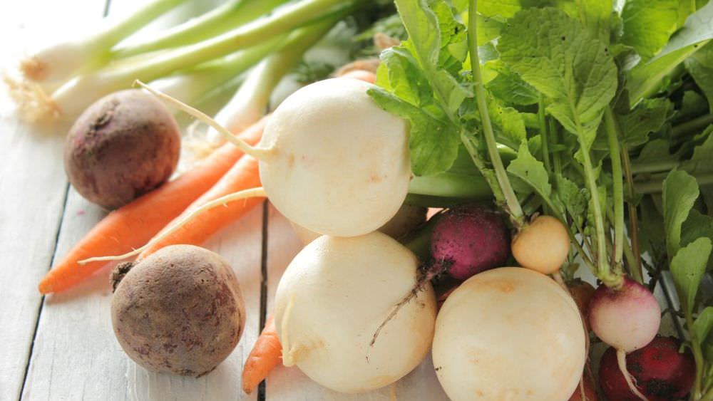 So leicht kann der Start sein: pflegeleichte Gemüsesorten für Anfänger