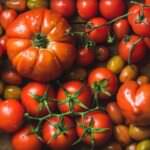 Tomaten – Arten und Unterschiede